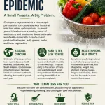 THE RAW TRUTH ABOUT RAW VEGETABLES <p> and the CYCLOSPORA OUTBREAK b8cyclo